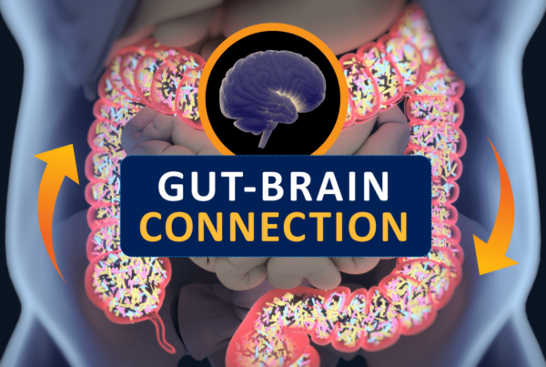 gut brain connection